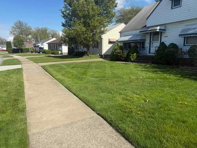 Lawn Care service in Dana Point, 92629
