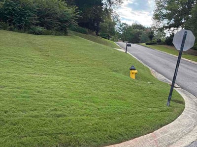 Lawn Care service in Vestavia Hills, 35216