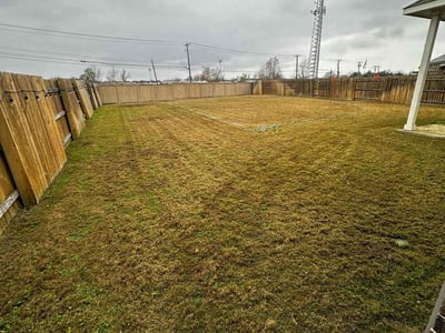 Lawn Care service in Davis, 95616