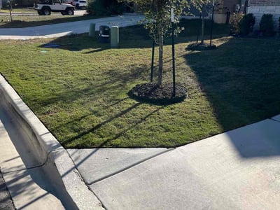 Lawn Care service in Davis, 95616
