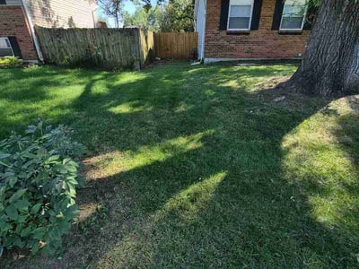 Lawn Care service in Groveport, 43125