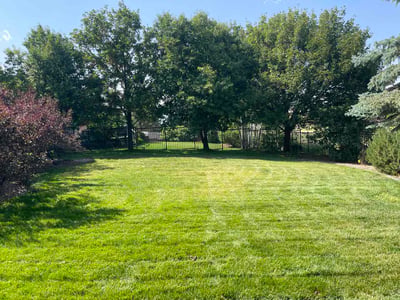 Lawn Care service in Monument, 80132