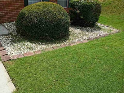 Lawn Care service in Spring Valley, 91977