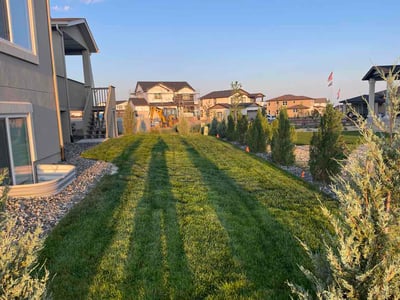 Lawn Care service in Monument, 80132