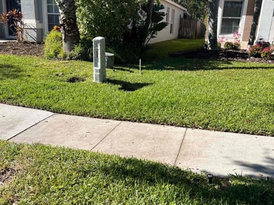 Lawn Care service in Beverly Hills, 90210