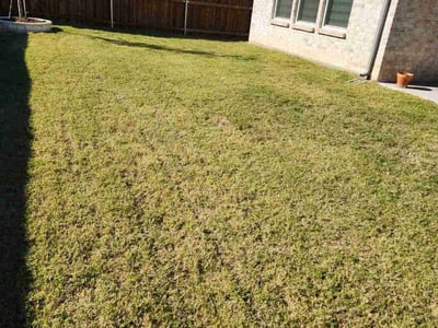 Lawn Care service in Escondido, 92025