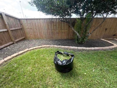Lawn Care service in El Cajon, 92020