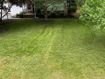Lawn Care service in Antelope, 95843