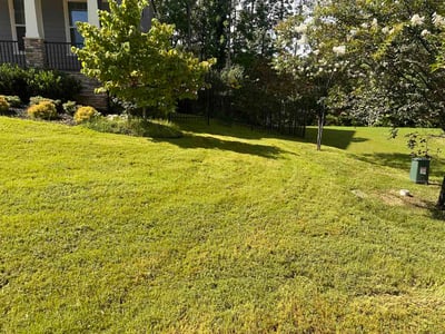 Lawn Care service in Holly Springs, 27540