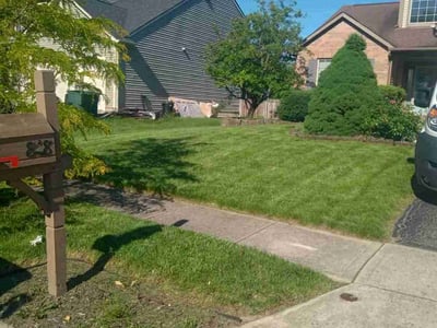 Lawn Care service in Ashville, 43103