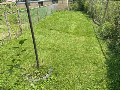 Lawn Care service in Sun City West, 85375
