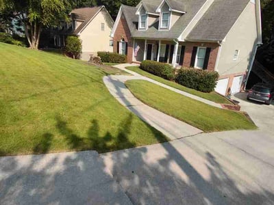 Lawn Care service in Fairfield, 35064