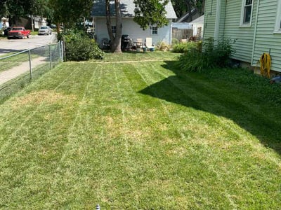 Lawn Care service in Lincoln, 95648