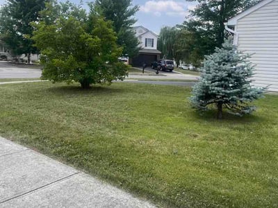 Lawn Care service in Canal Winchester, 43110