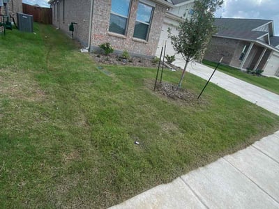 Lawn Care service in La Mesa, 91942