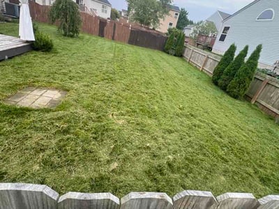 Lawn Care service in Marysville, 43040