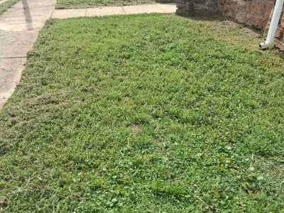 Lawn Care service in Moreno Valley, 92557