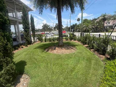 Lawn Care service in New Smyrna Beach, 32168