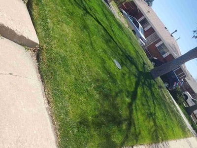 Lawn Care service in Golden, 80401