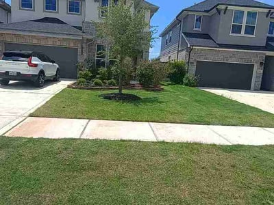 Lawn Care service in Oxnard, 93030