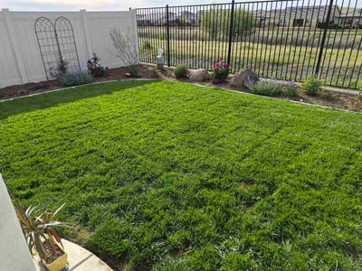 Lawn Care service in El Dorado Hills, 95762