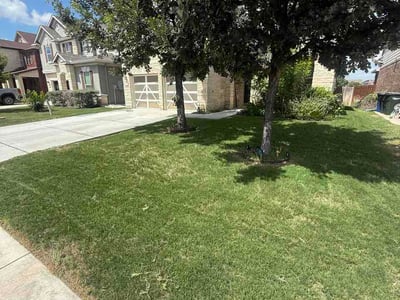 Lawn Care service in Ramona, 92065