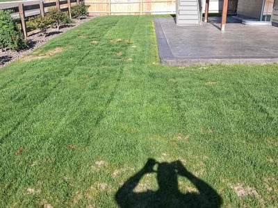 Lawn Care service in Northglenn, 80233