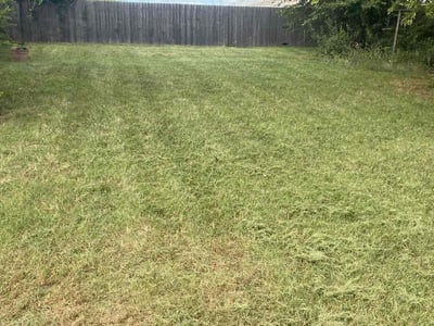 Lawn Care service in Inland Empire, 92262