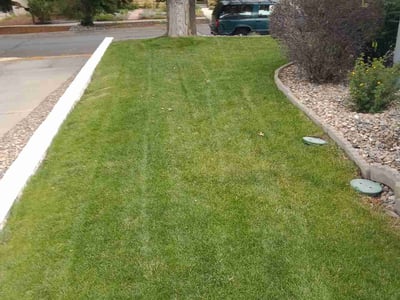 Lawn Care service in West Hills, 91307