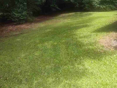 Lawn Care service in Oneonta, 35121