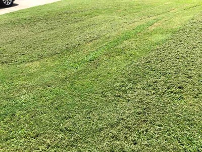 Lawn Care service in Oneonta, 35121