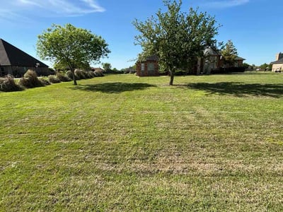 Lawn Care service in South Gate, 90280