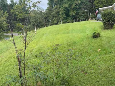 Lawn Care service in Weaverville, 28787