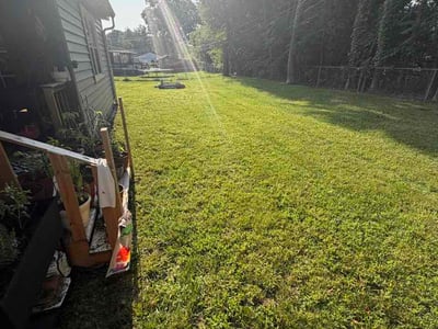Lawn Care service in Black Mountain, 28711