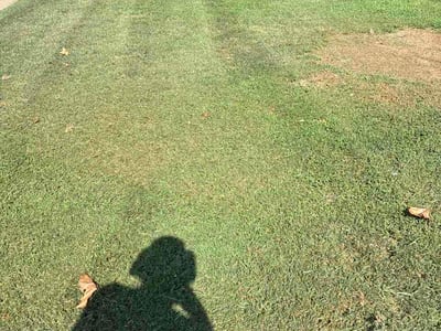 Lawn Care service in Downey, 90241