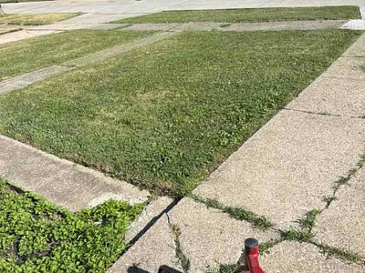 Lawn Care service in Beachwood, 44122