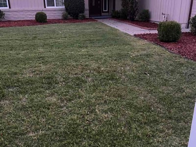 Lawn Care service in Stockton, 95202