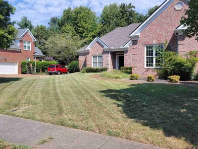 Lawn Care service in Buena Park, 90621
