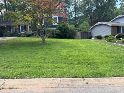 Lawn Care service in Cary, 27513