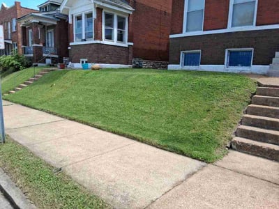 Lawn Care service in Venice, 90291