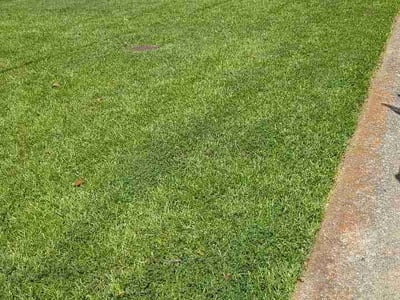 Lawn Care service in Tolleson, 85353