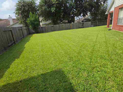 Lawn Care service in Tolleson, 85353