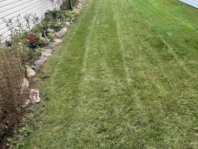 Lawn Care service in Lansing, 48933