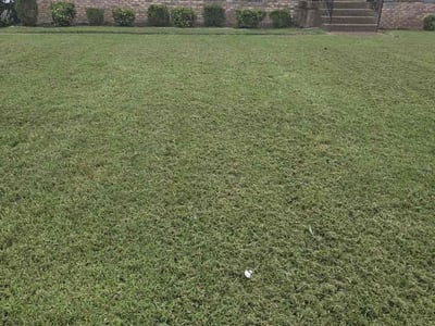 Lawn Care service in Rancho Cordova, 95670