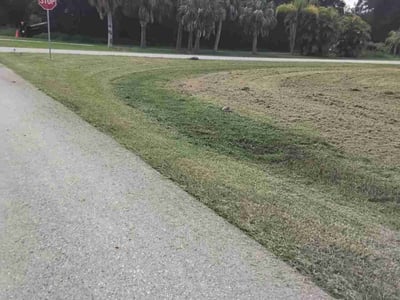 Lawn Care service in San Tan Valley, 85142