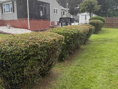 Lawn Care service in Cerritos, 90703