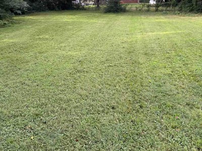 Lawn Care service in Toney, 35773
