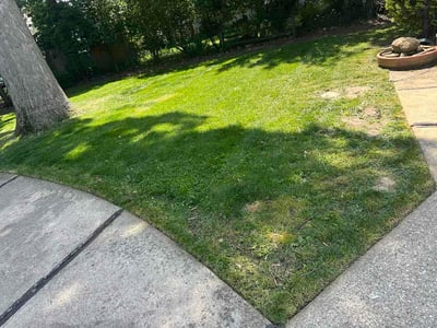 Lawn Care service in Lakewood, 44107