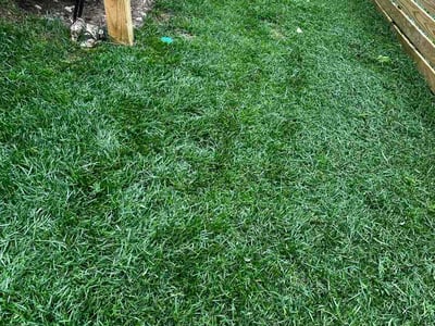Lawn Care service in Arden, 28704