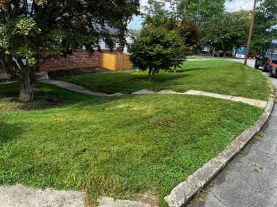 Lawn Care service in Arden, 28704
